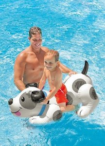 ��� �� ����� ������ ������ INTEX 57521