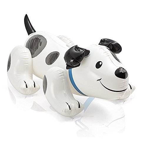 ��� �� ����� ������ ������ INTEX 57521