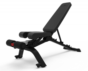 ���� ���� ��� ������� BOWFLEX 3.1S