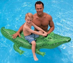 ���� ����� ������ ������ INTEX 58546