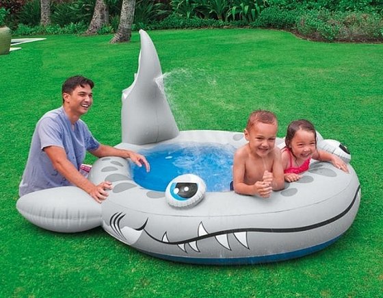 ����� ������ ���� INTEX 57433