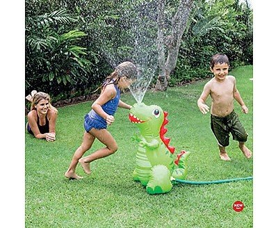 ����� ���� ��� ����� INTEX 56598