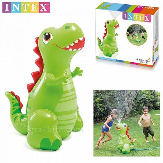 ����� ���� ��� ����� INTEX 56598