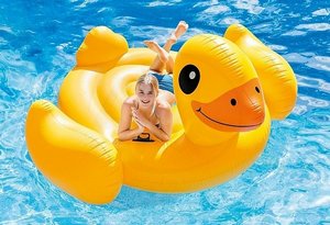 ����� ����� ��� ������ �� ��� ��� INTEX 56286