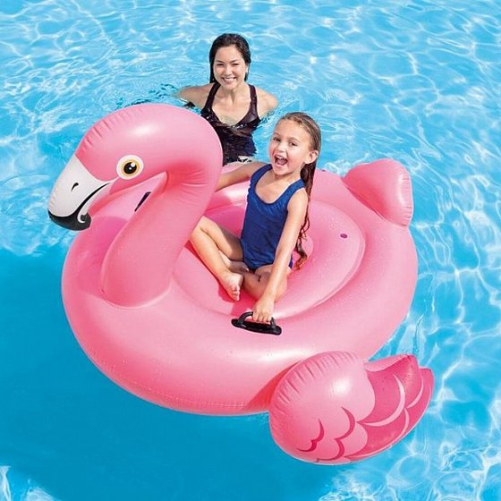 ������� ����� ��� ������ �� ��� ��� INTEX 57558