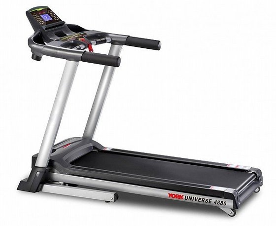 ����� ���� ���� YORK Universe