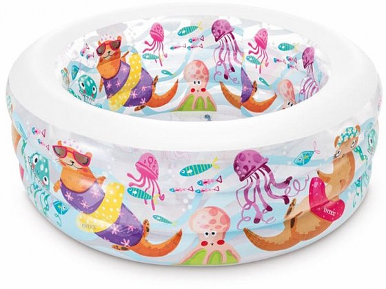 ����� ����� ���� ����� ������ ��� 58480 INTEX