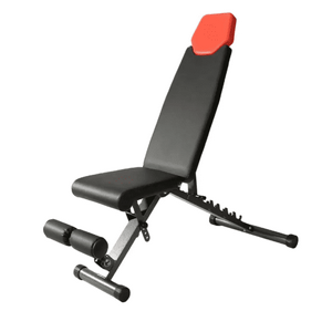 ���� ����� ������� ���� MOMENTUM-23